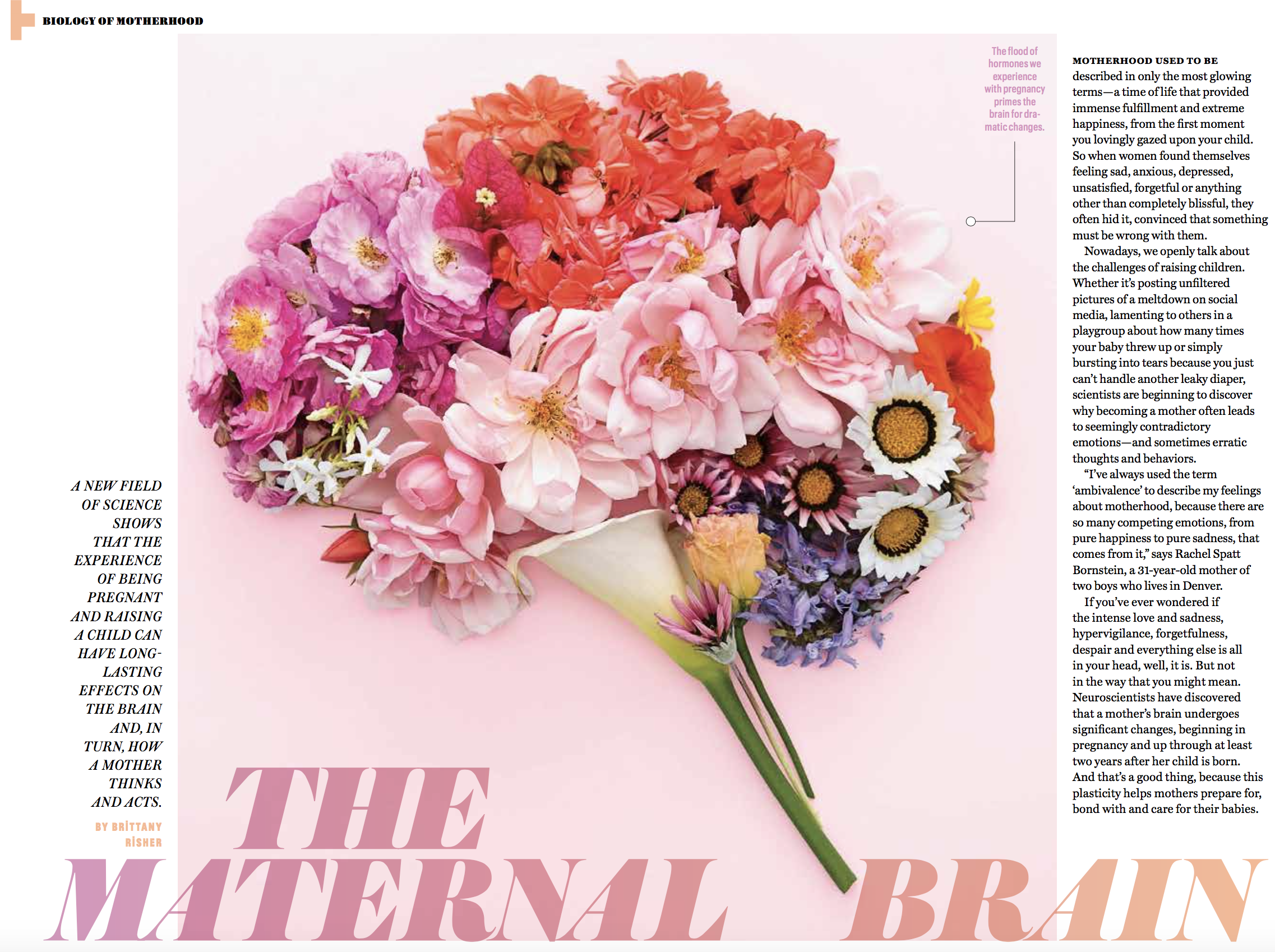 Screen Shot 2019-05-01 at 4.32.03 PM.png
