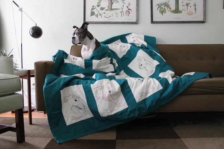 animalquilt1.jpg