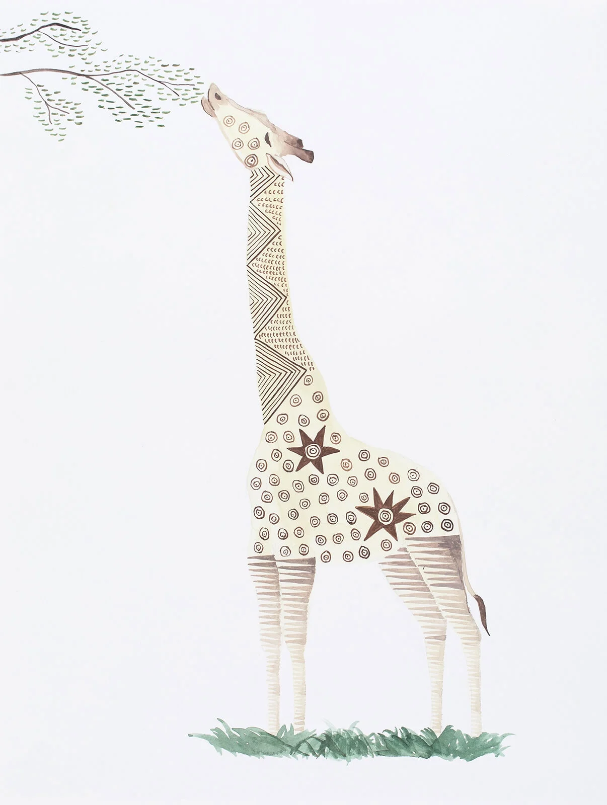 Rothschild's Giraffe, Uganda