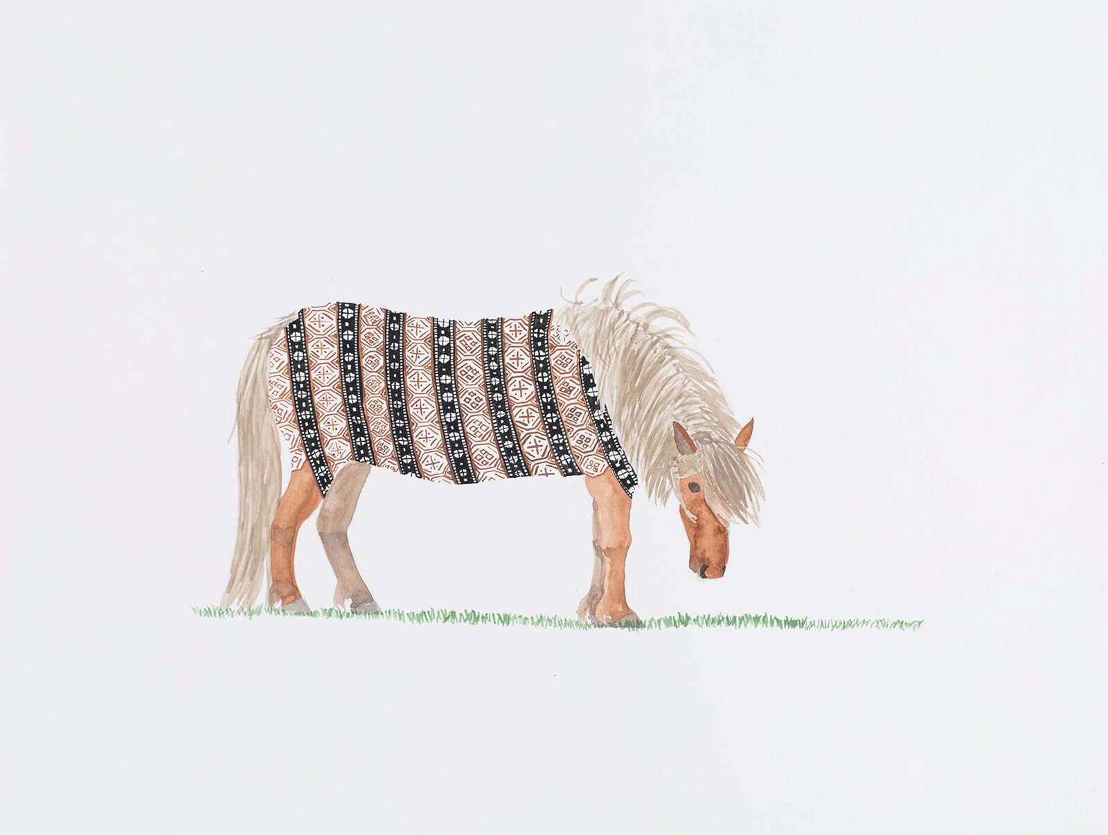 Shetland Pony, Scotland