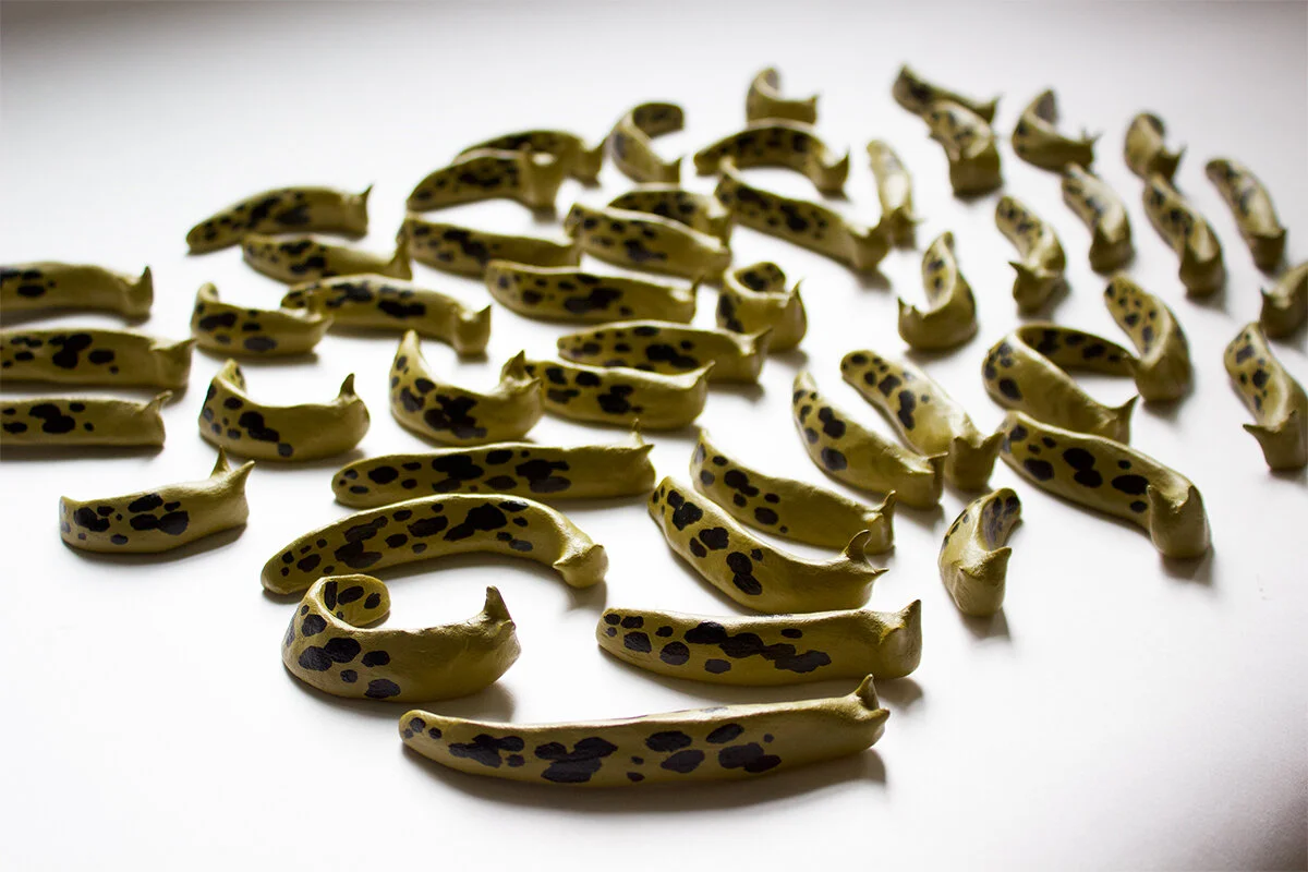 slugs1-sm.jpg