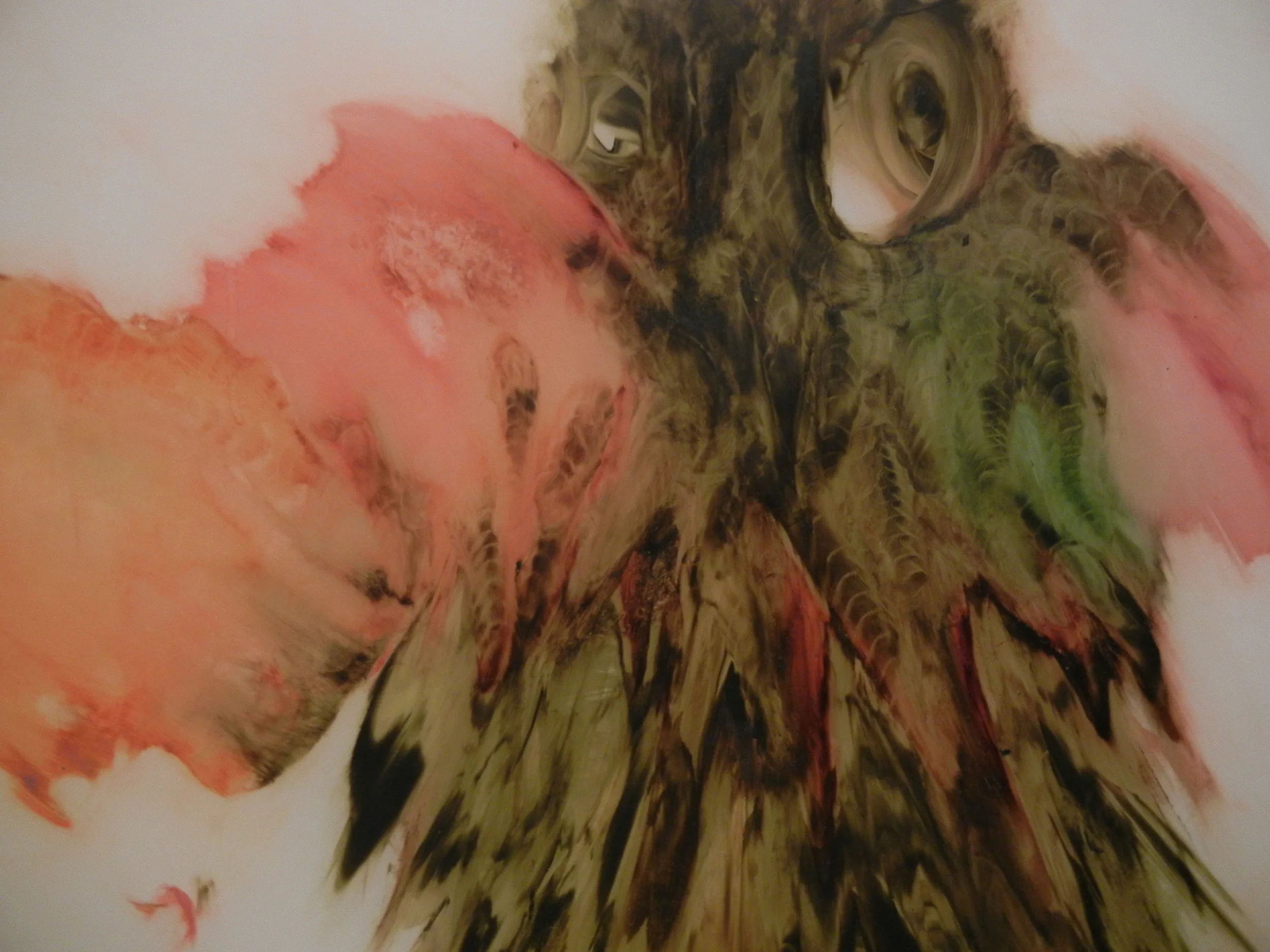 Detail of Owl/Butterfly