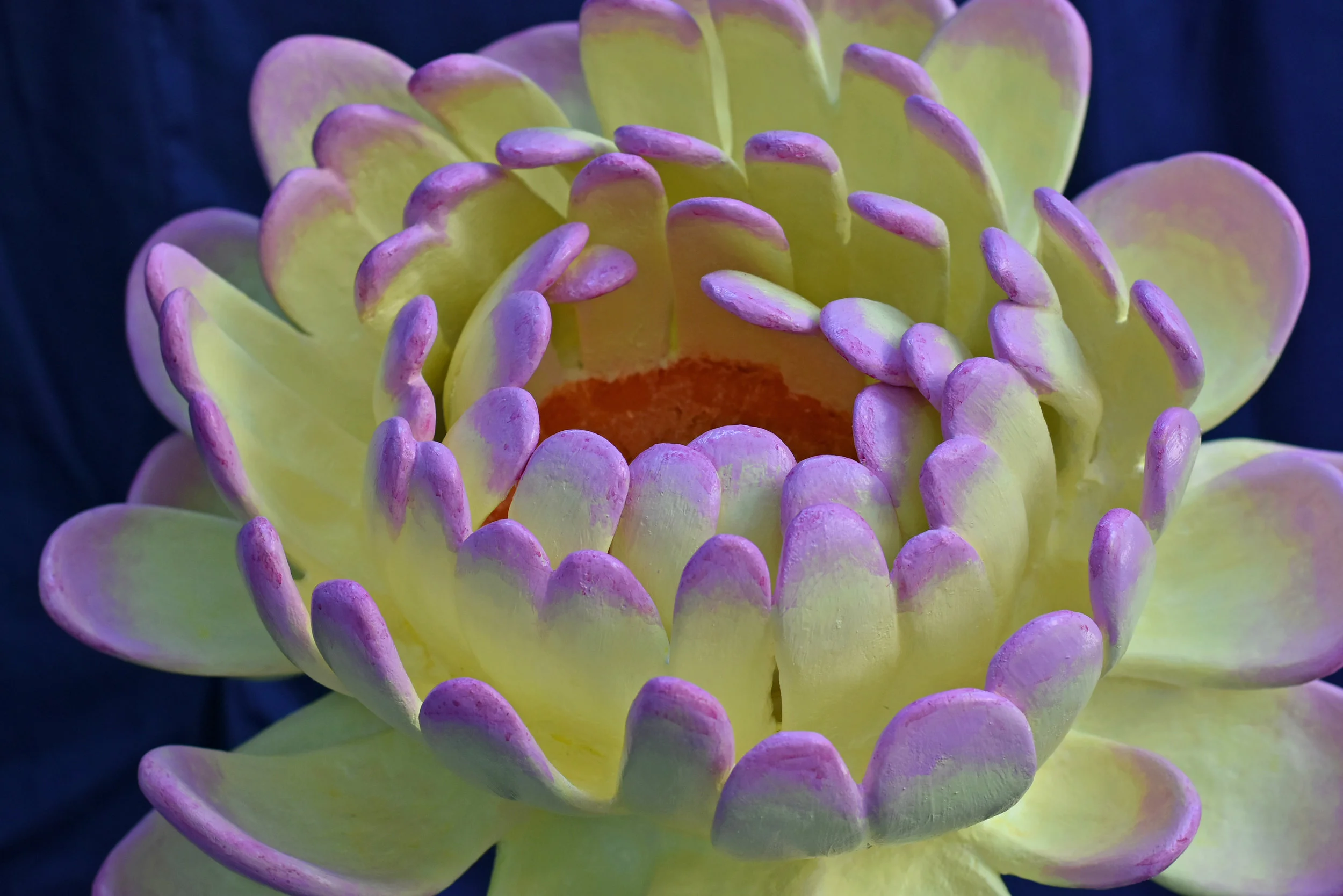 WEB IMAGE - A IVERSON.jpg