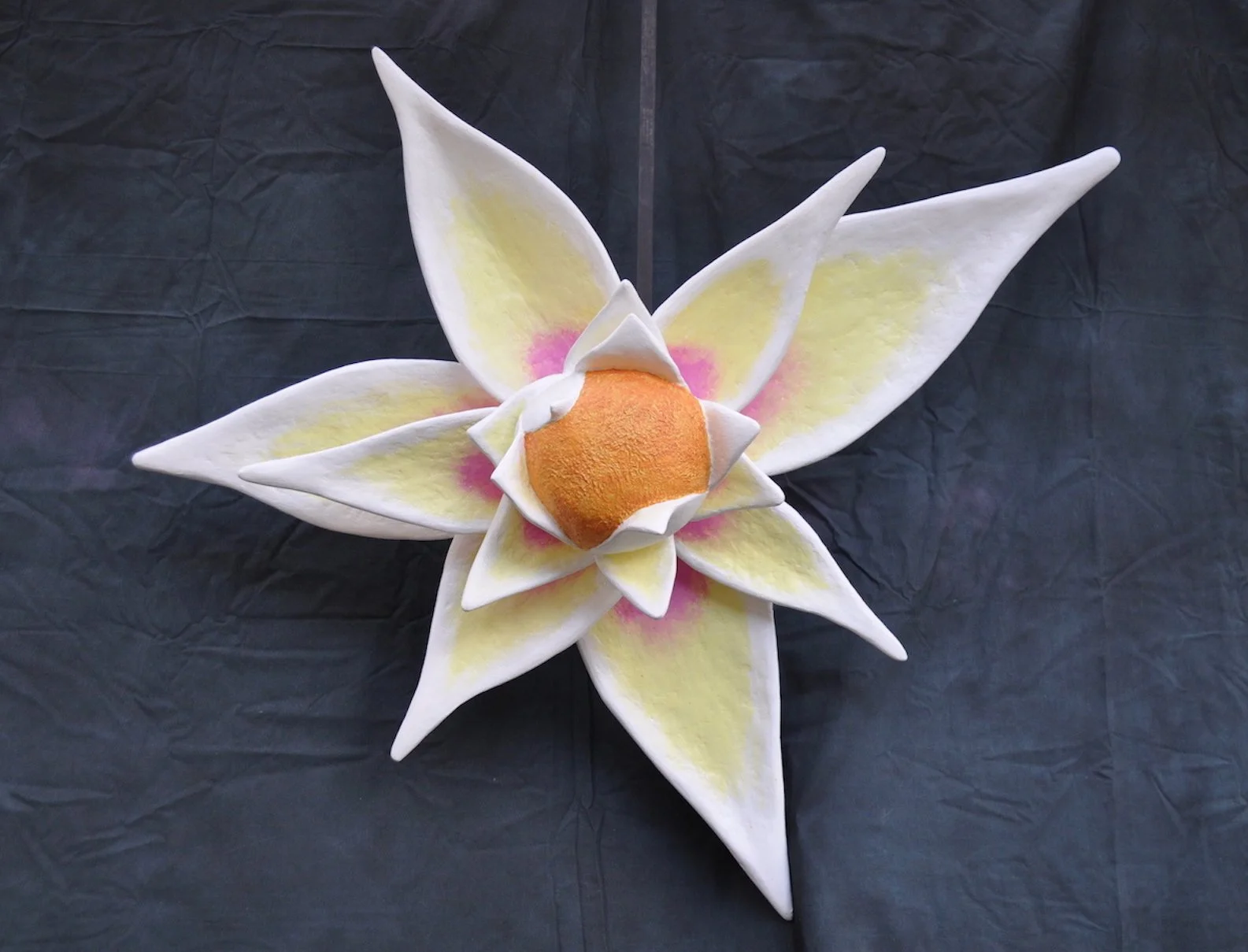 Peace Lotus