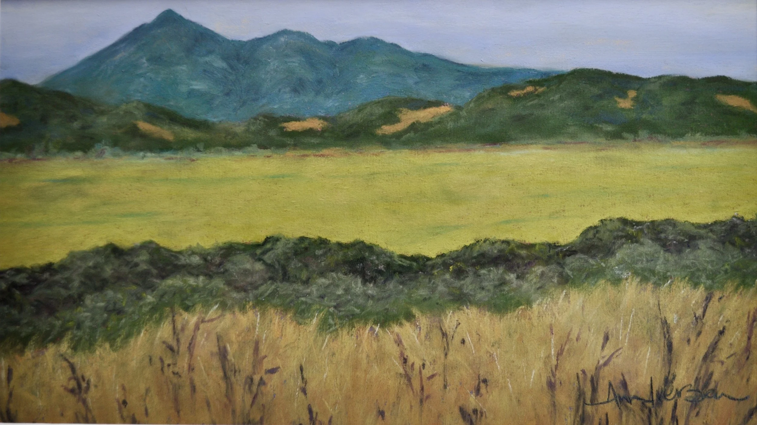 Mt Tam from Marin Wetlands