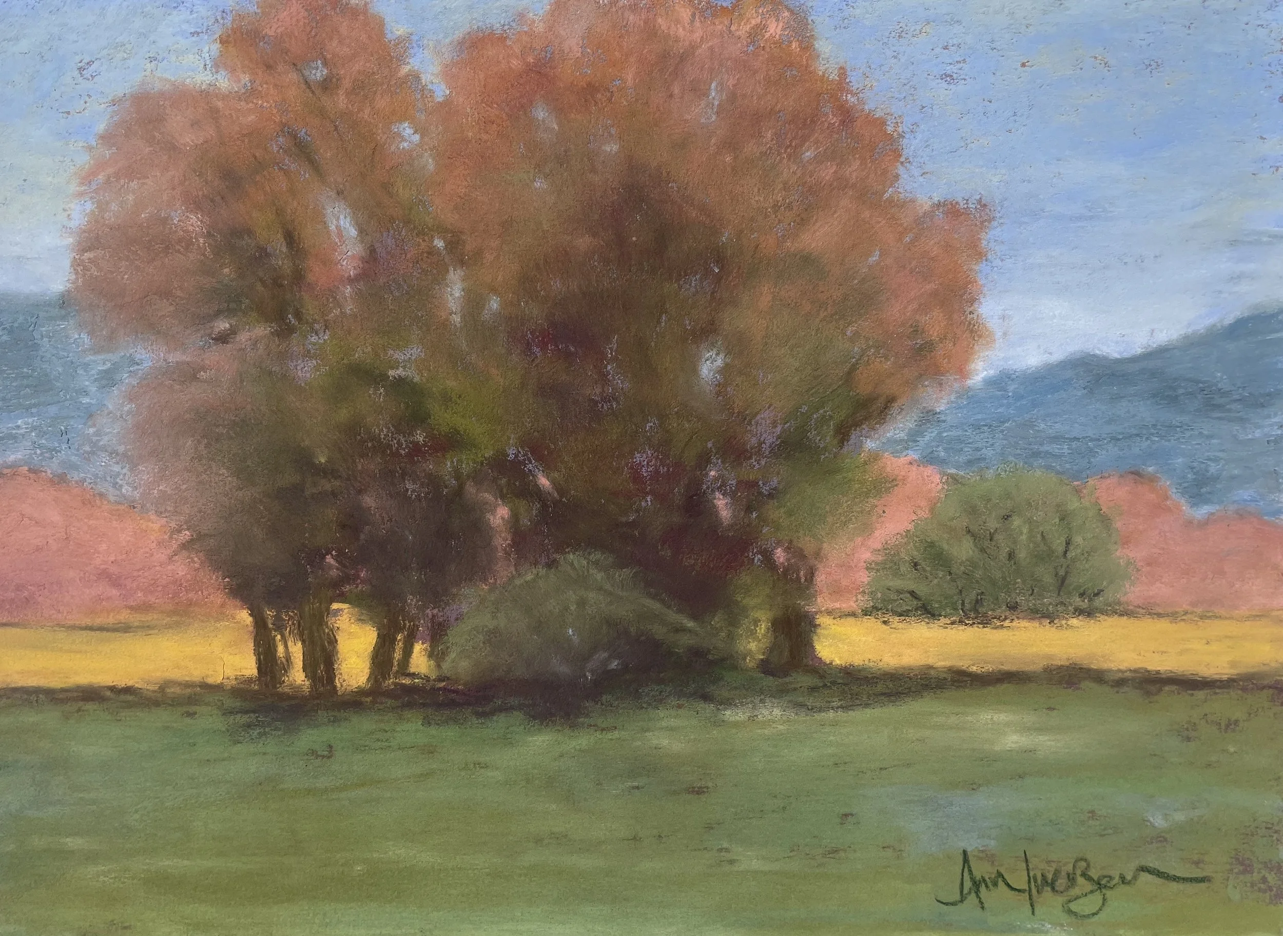 Color Fields