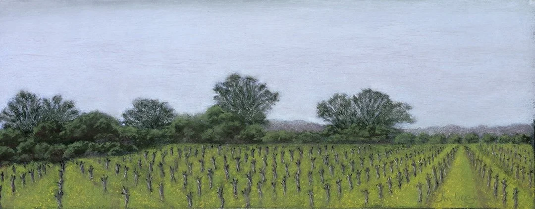 Sonoma Fog
