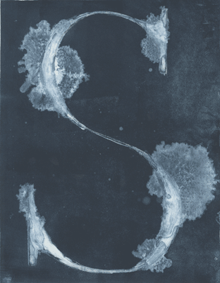s-8.gif