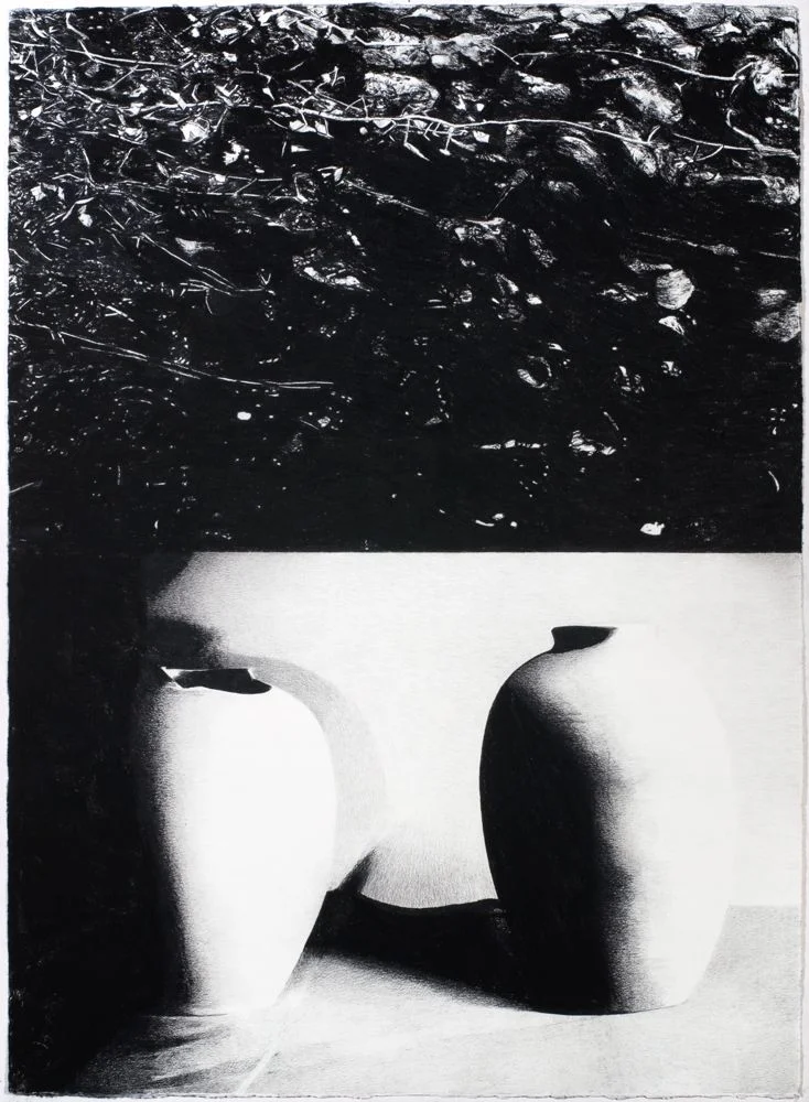 'black currents' Conte on Hahnemuhle paper 108.5 x 79cm