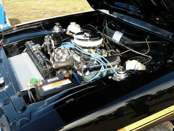 all ford day ecr 2009 (28).jpg