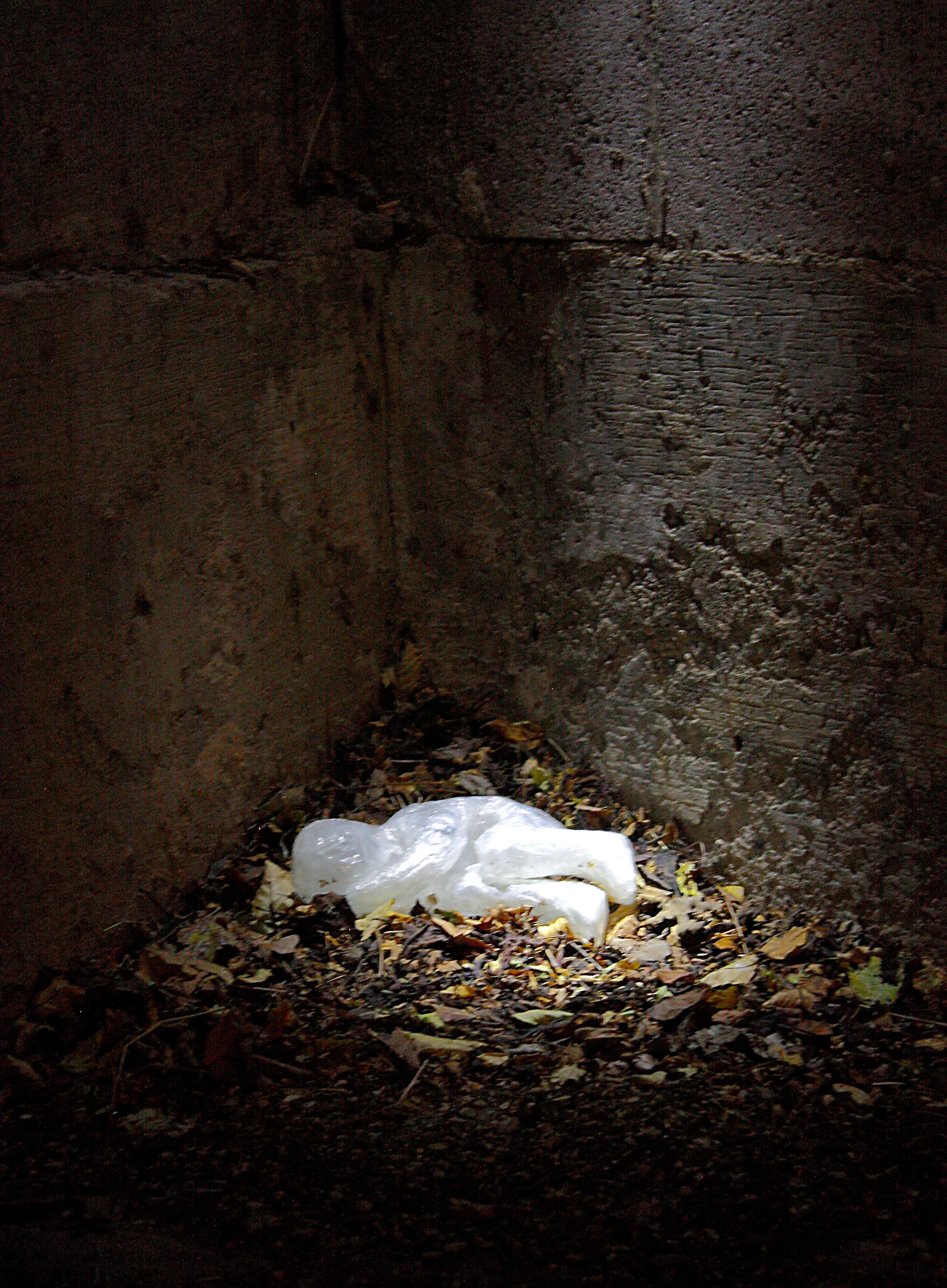 Aurora Wrap Party / Weatherproof Exhibition The MAC clear packing tape, site-specific debris 2015