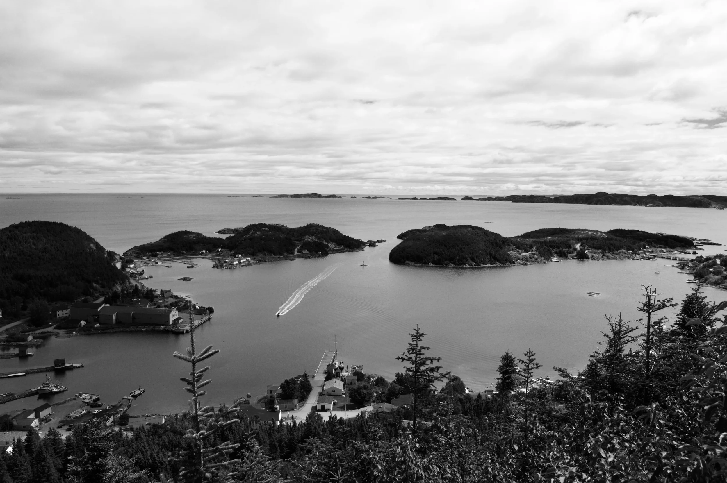 DSC_0225 (1).jpg