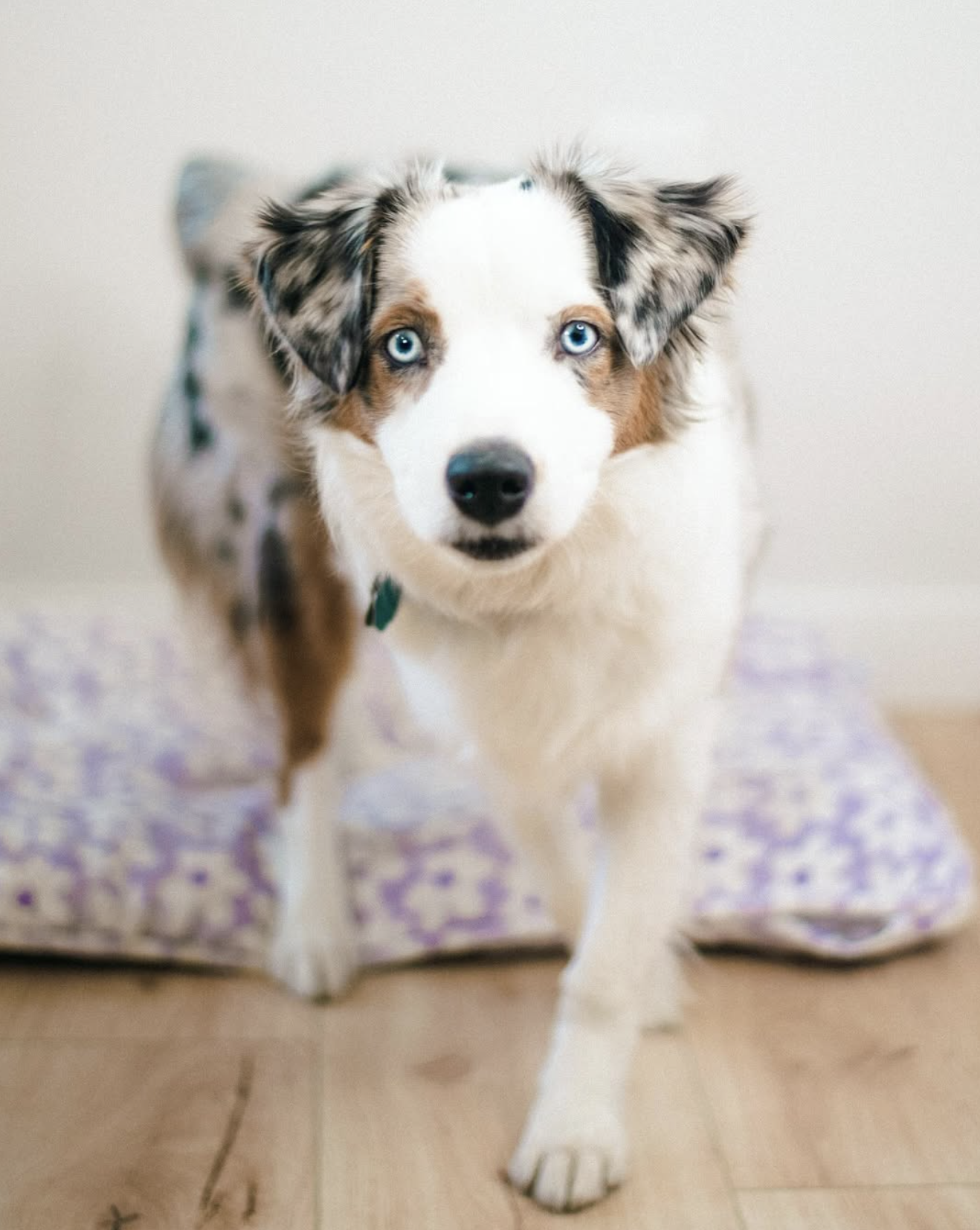 Screenshot 2026-03-09 at 7.21.30 PM.png