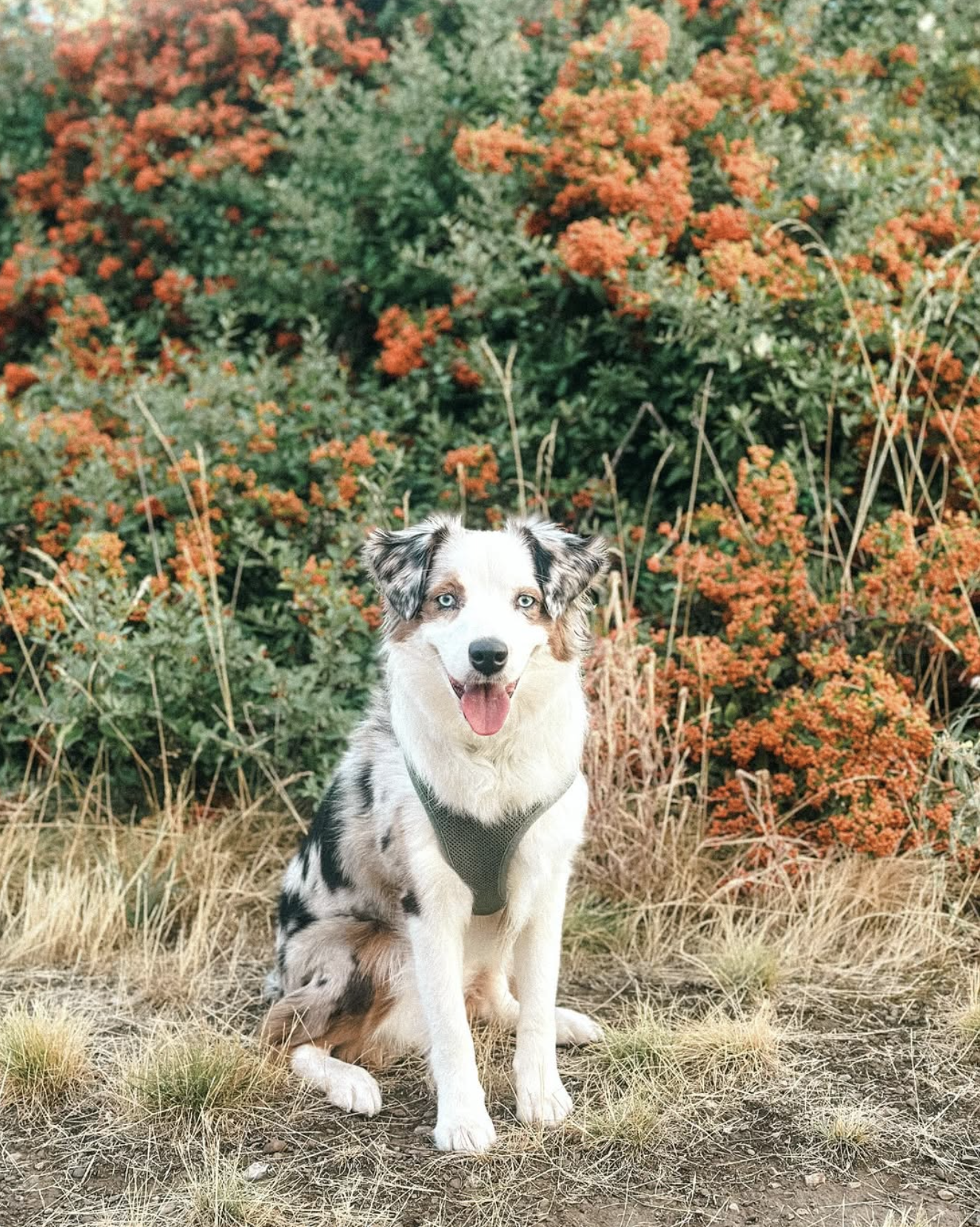 Screenshot 2026-03-09 at 7.22.42 PM.png