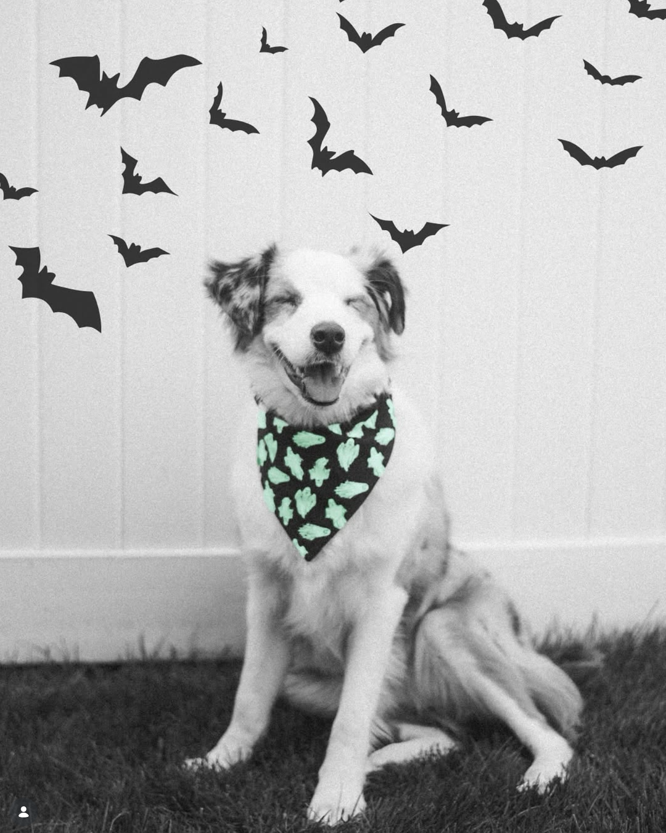 Screenshot 2026-03-09 at 7.21.17 PM.png