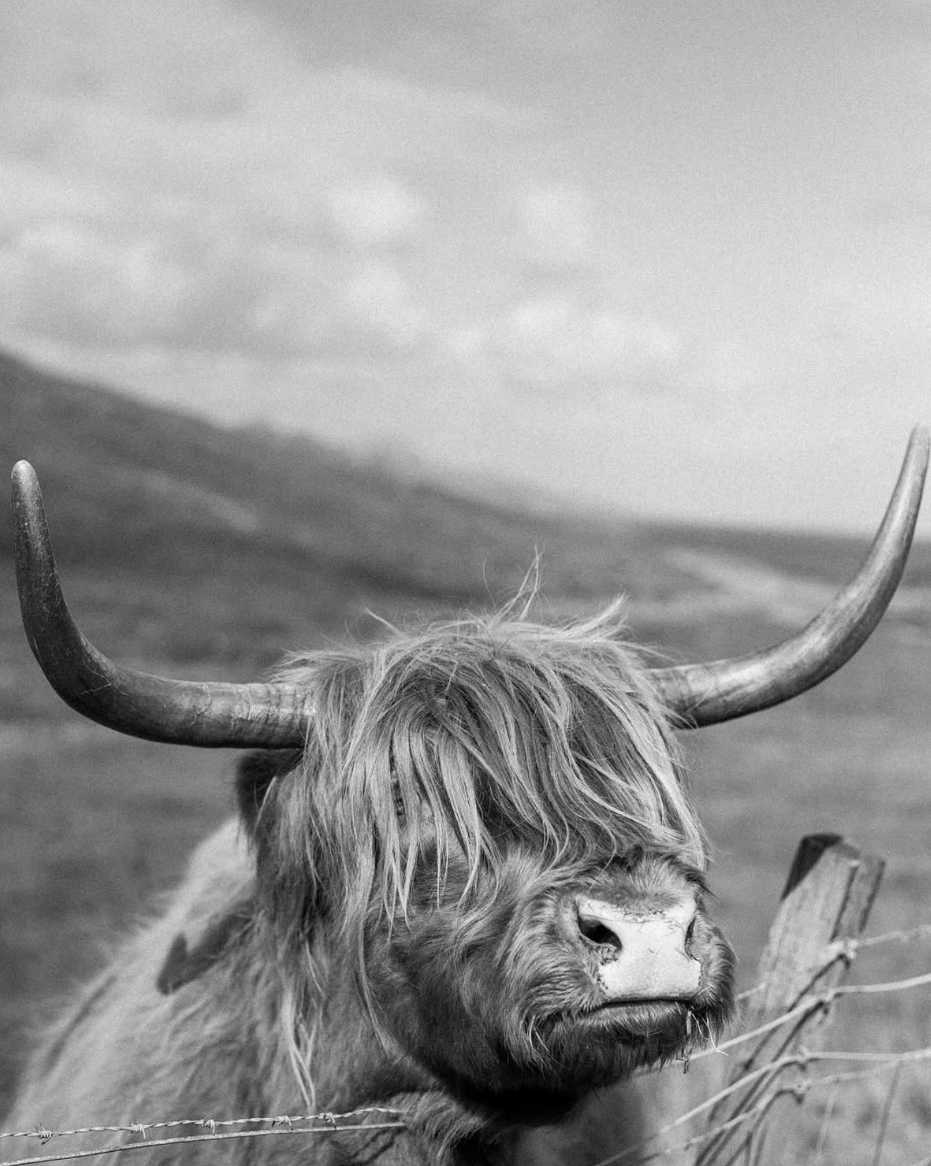 Screenshot 2026-03-09 at 7.25.18 PM.png