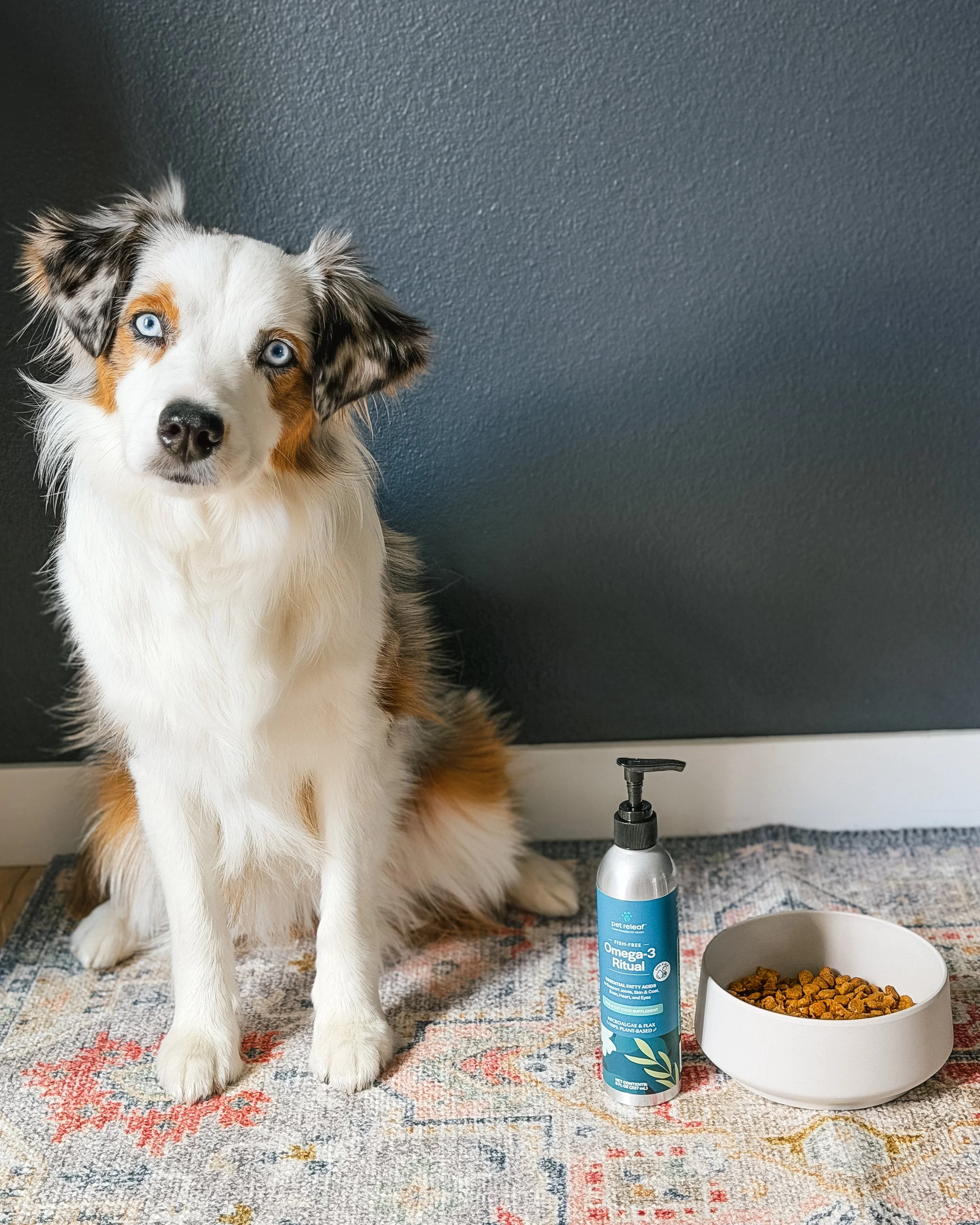 ThatHazyLife_Pet Releaf_Omega-3 Ritual-9.jpg