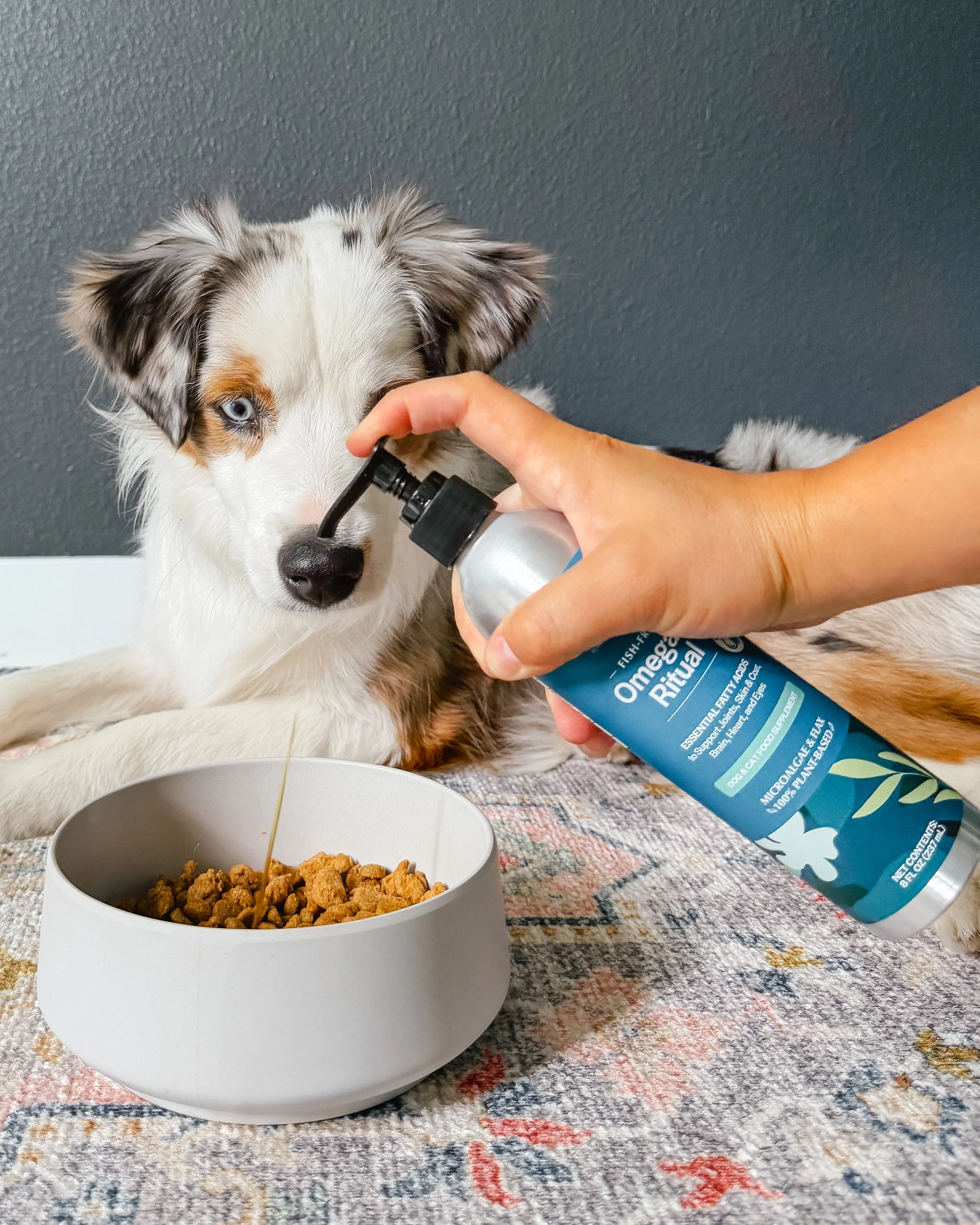 ThatHazyLife_Pet Releaf_Omega-3 Ritual-1.jpg