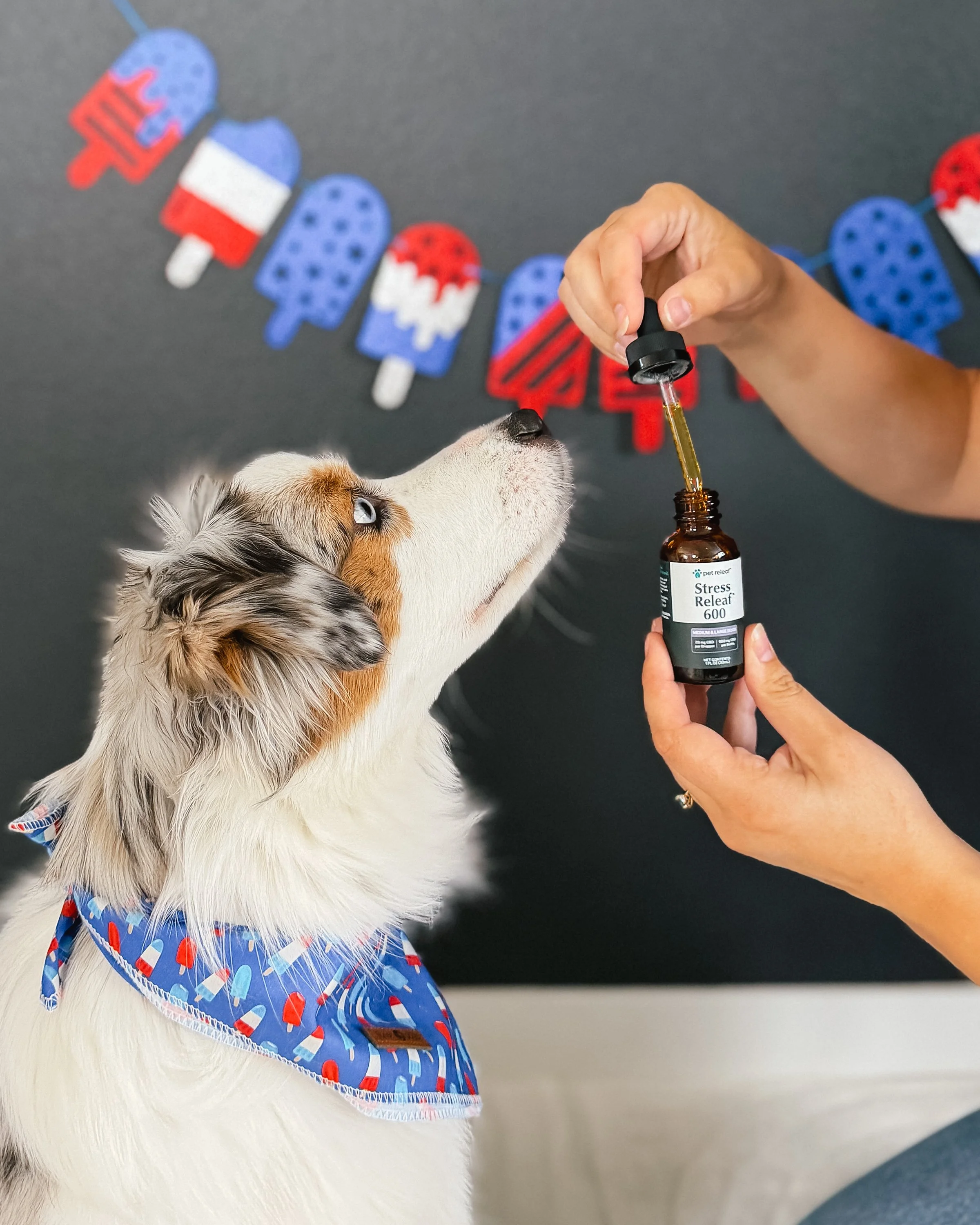 Pet Releaf 4th of July-21.jpg