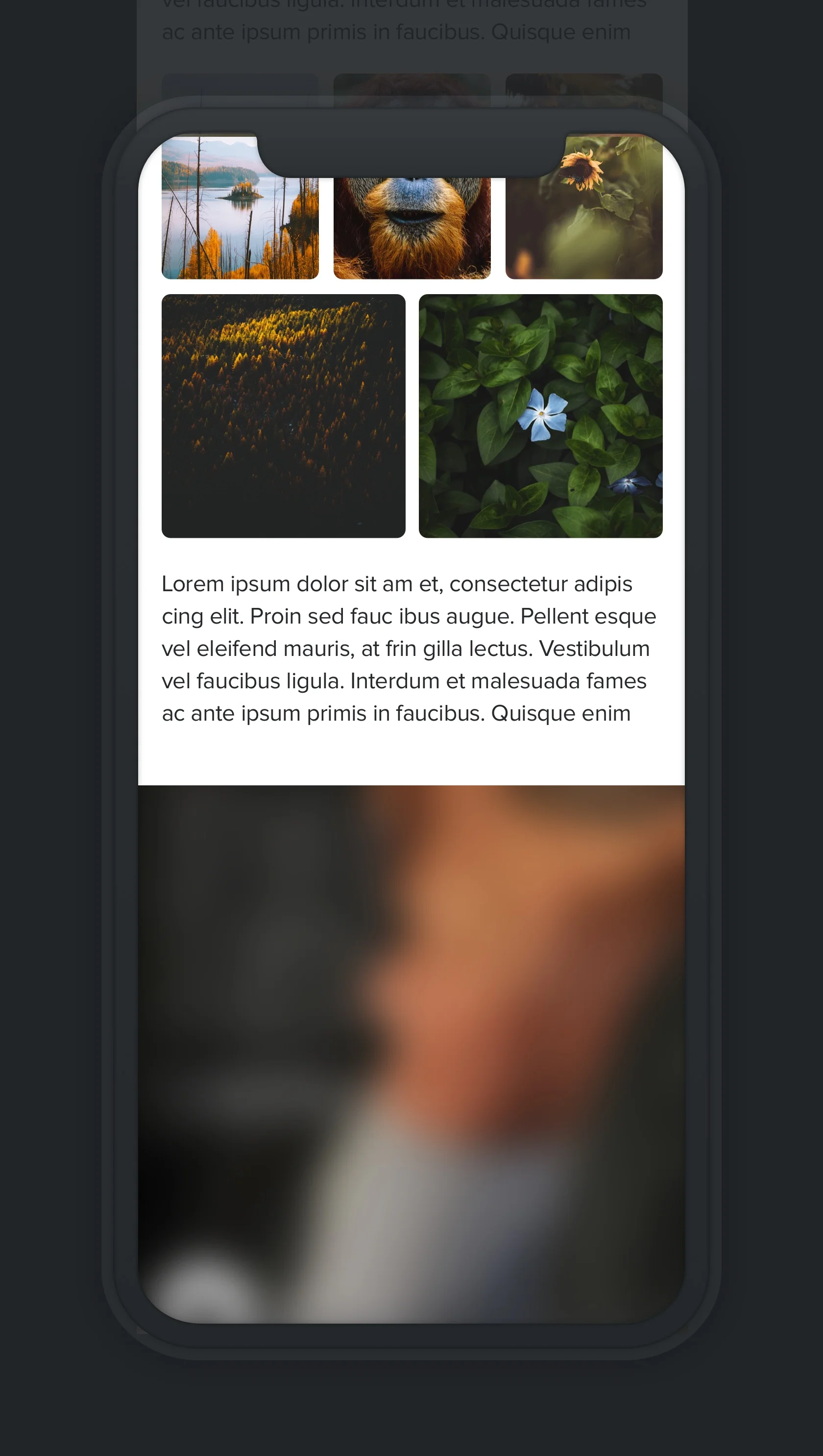 Plax-process4.jpg