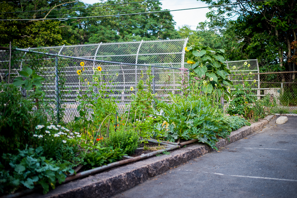 Garden and Park-3.jpg