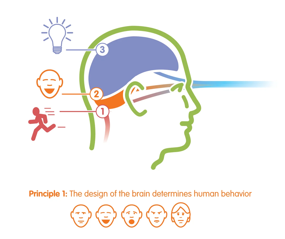 Behavior and the Brain: Book Illustration