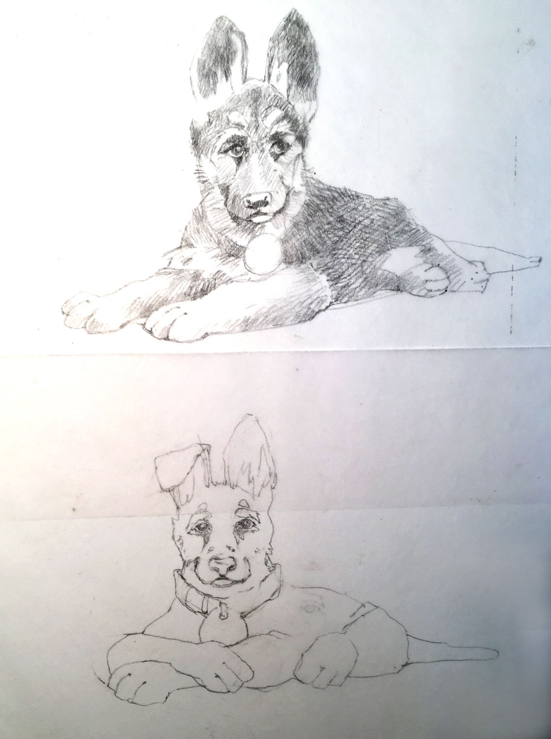 Nitro_sketch.jpg