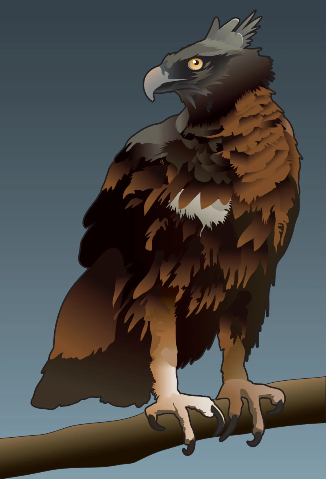 L5-Black and Chestnut Eagle.png