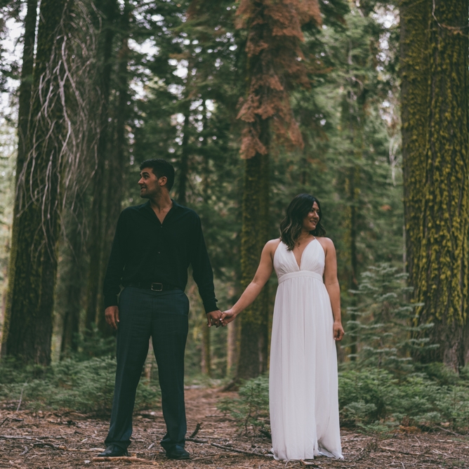 Yosemite and Sequoia Forest Engagement by Debra Alison Photography