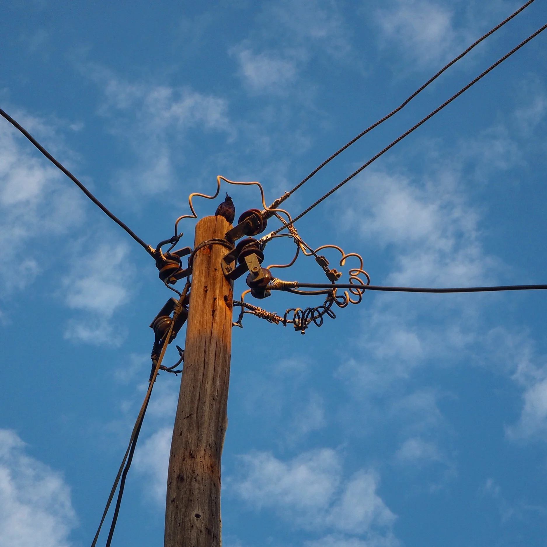 Vihiga, Chavakali, and an African funeral