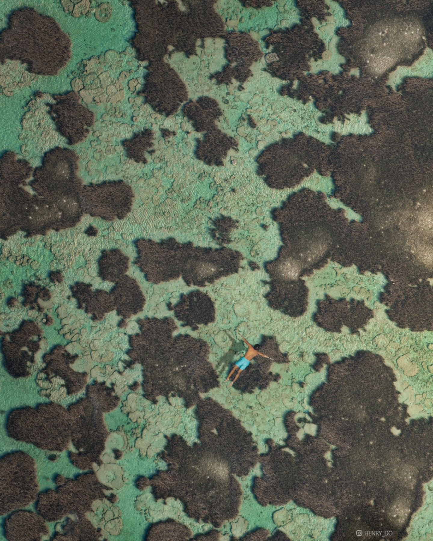 🌊🌿 Dying Beauty &mdash; More than just a peaceful swim; these images highlights the critical condition of Guam's seagrass beds. Once thriving ecosystems, these meadows now show signs of stress, turning brown as they struggle to survive. Seagrass pl