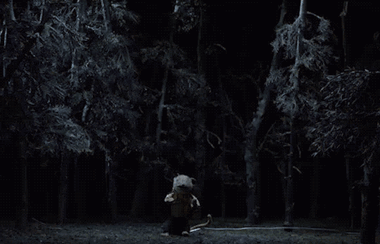 Disco.gif