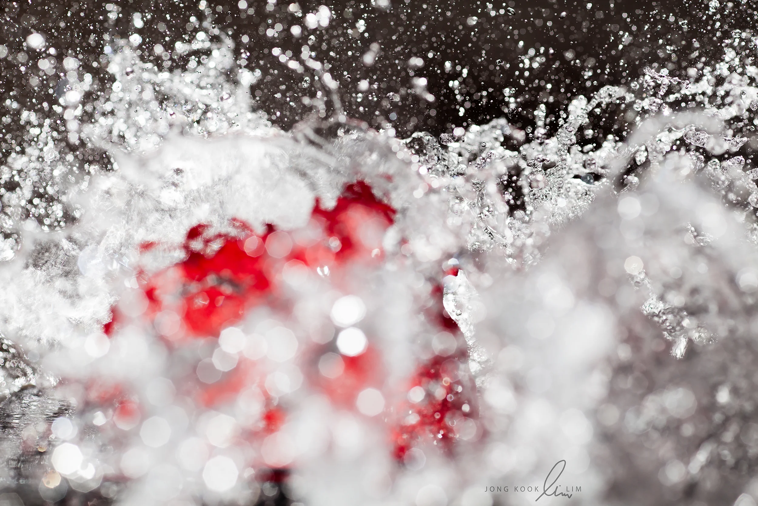 _MG_1763 as Smart Object-1.jpg