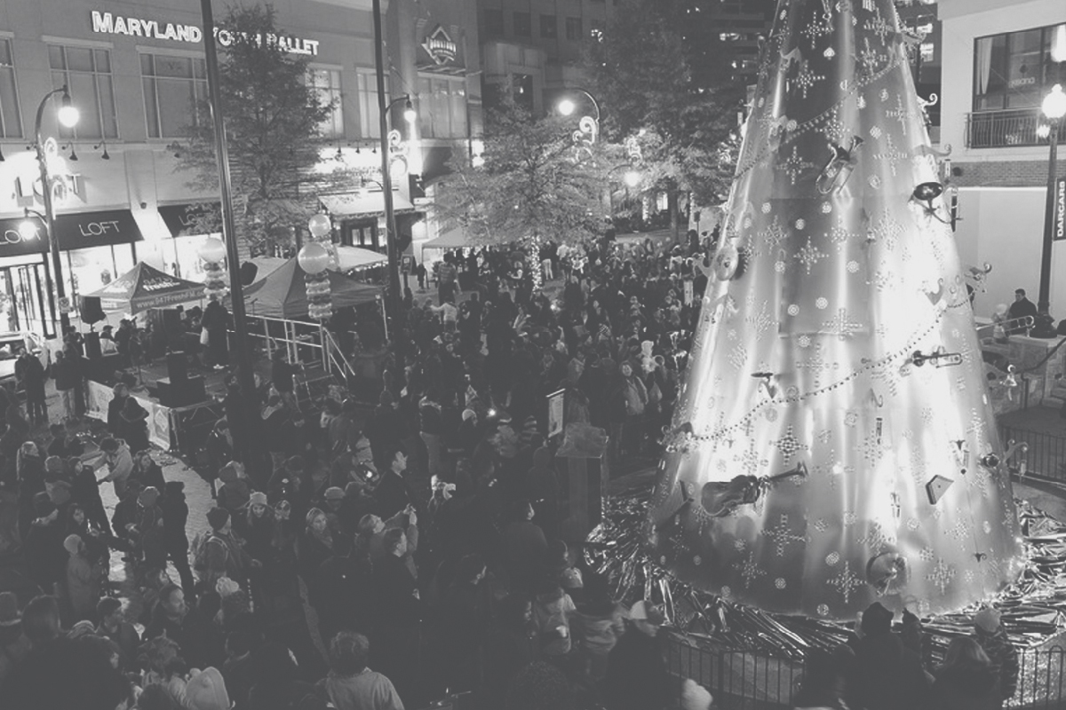 ENJ 23 Downtown Silver Spring Tree Installation-GREY Preview.jpg