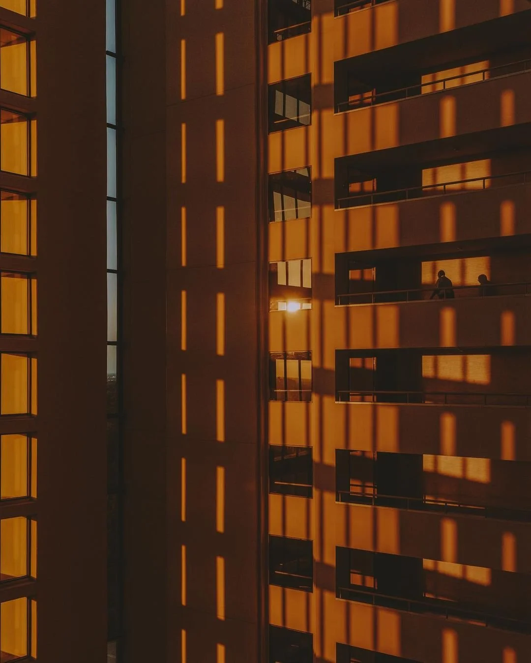 433114472_1754512615073824_189440273429076536_n.jpg