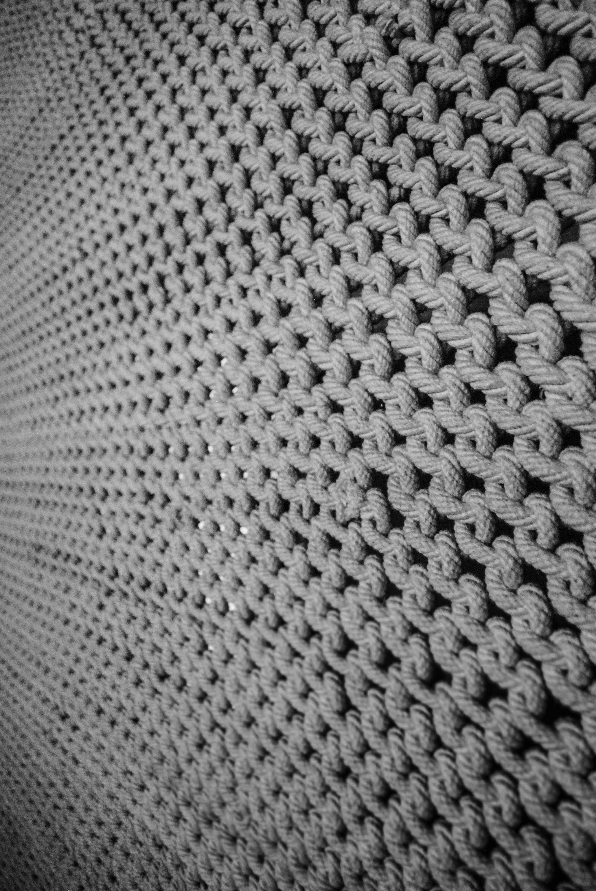 DSC_0113 BW.jpg