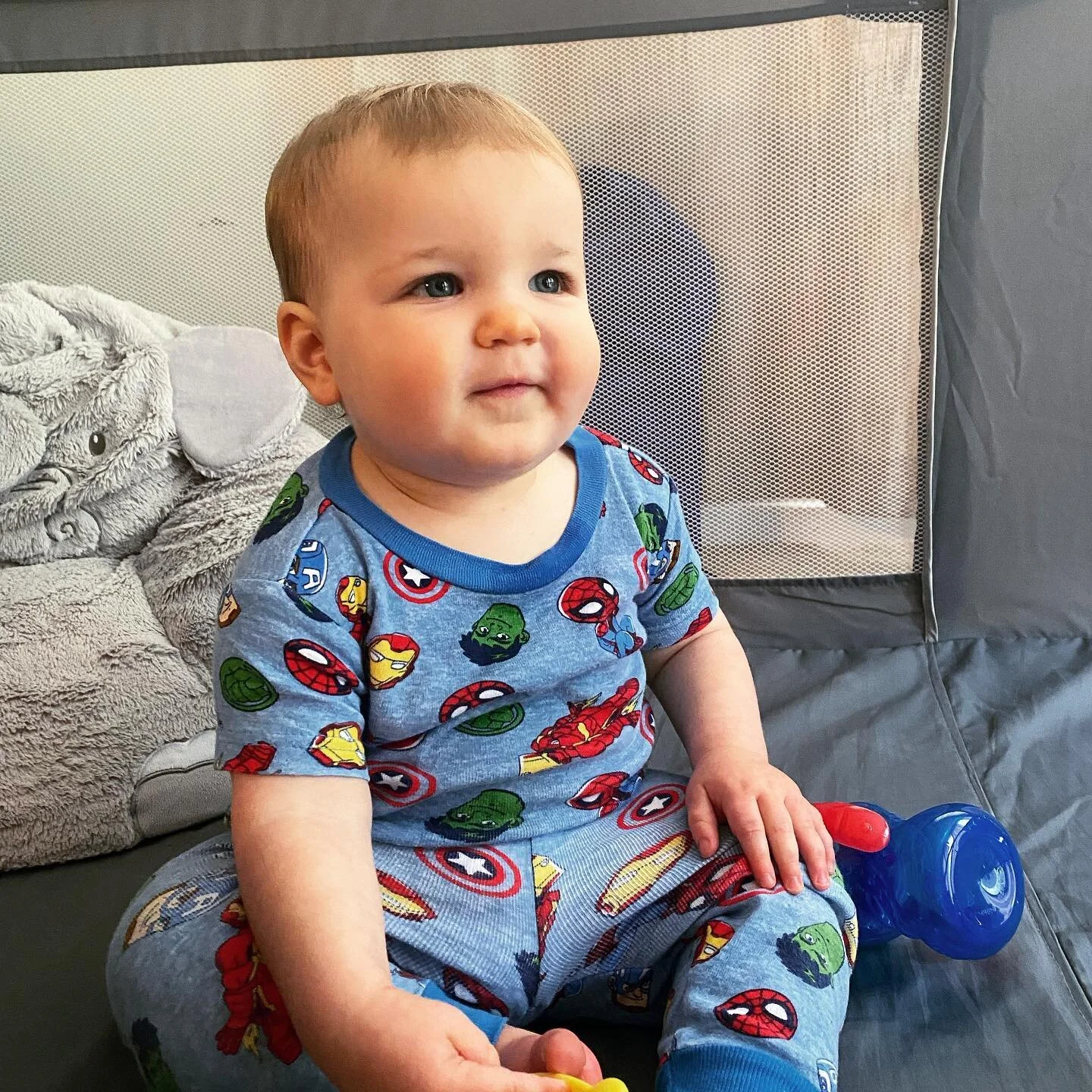 Ben:  Today I turned 1 years old.  Looking back on the year what a wild time it has been.  I wanna say thank you to my Mommy, Grandma, Grandpa, Gigi, Grampy and Auntie for loving and taking care of me.  I wonder what the future holds next&hellip;. Wh