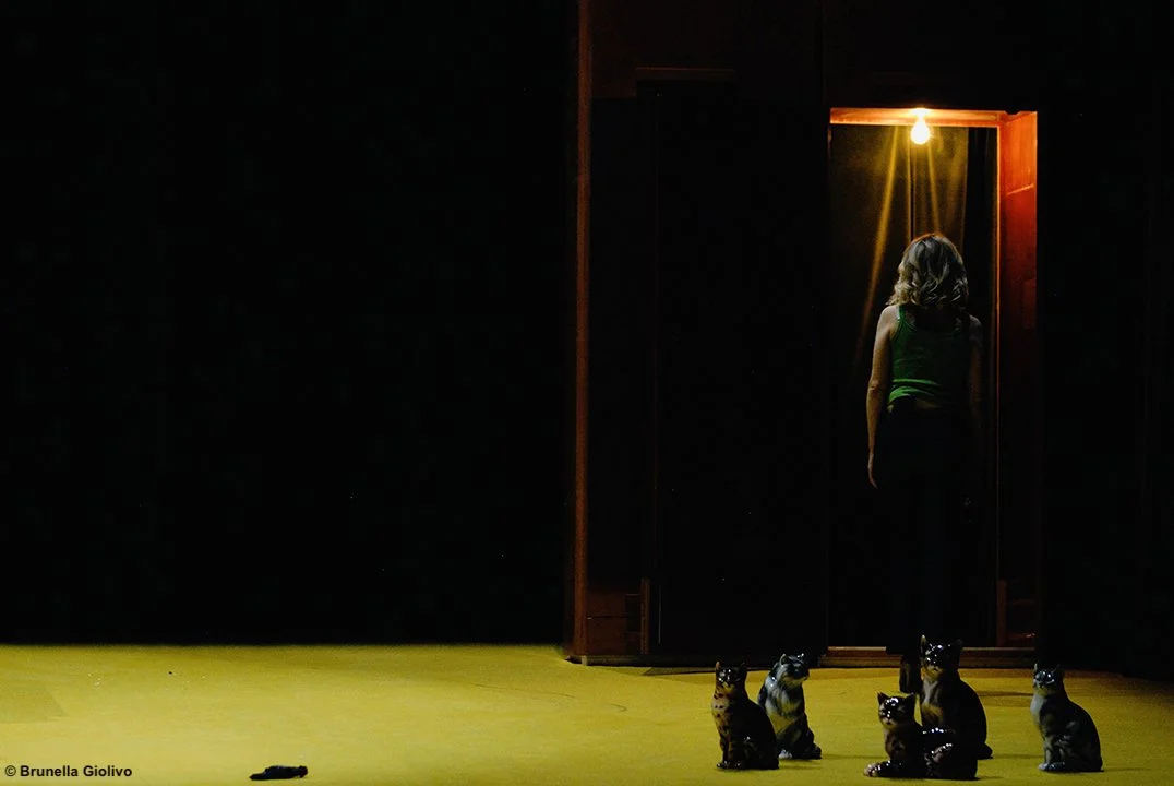 Chi ha paura di Virginia Woolf? [Who's Afraid of Virginia Woolf?] - regia Antonio Latella - scenografia / stage design Annelisa Zaccheria