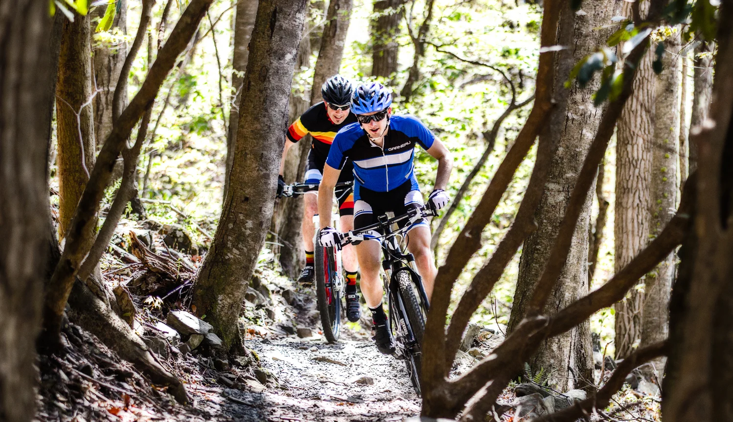 performance  bicycle - boone, nc