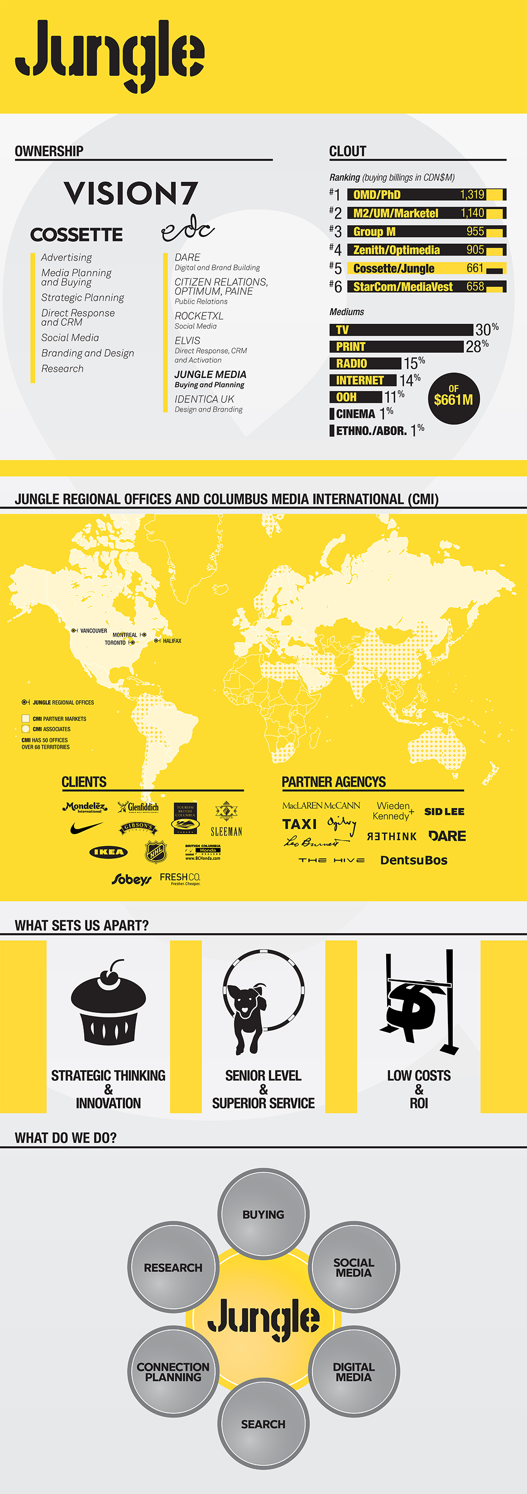 Jungle Infographic