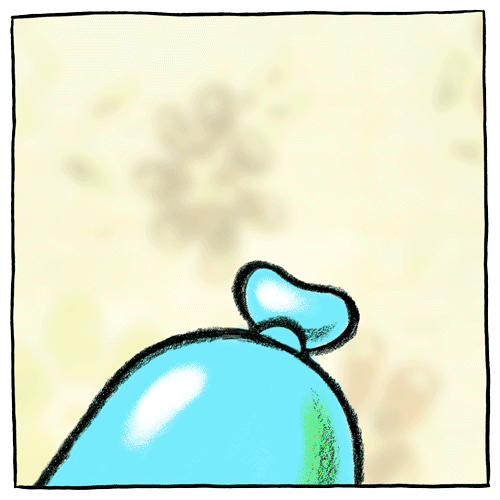 JAK4591_COASTER_Home-Sweet-Home_r2.gif