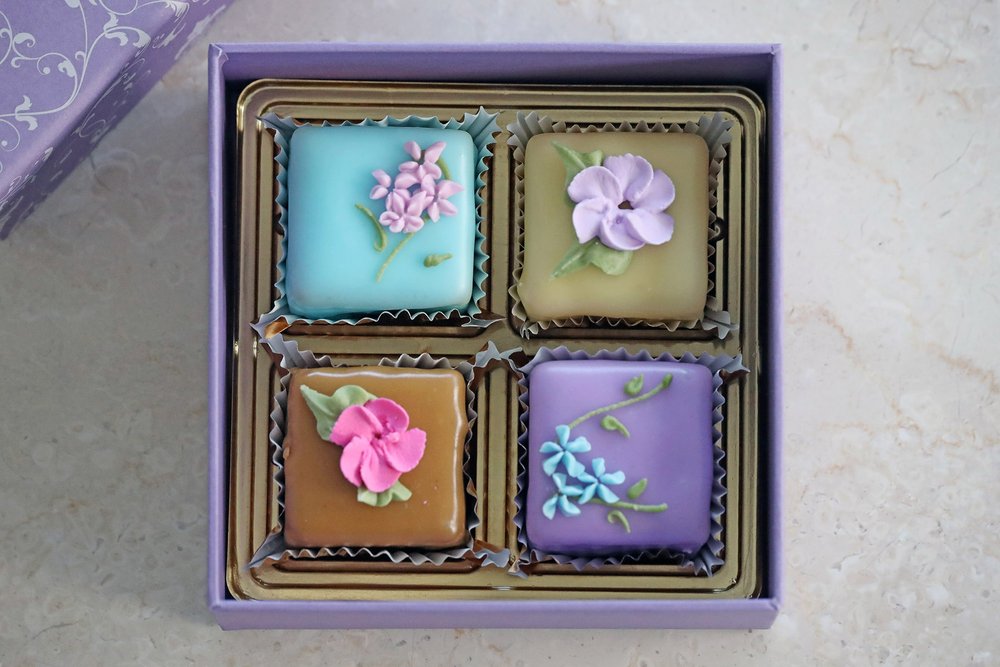 4 Mini Cake Box 4, Salt Box, - Savvy Scarlet