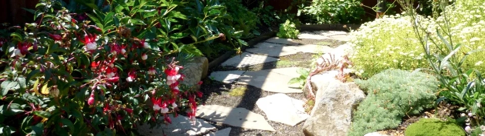 path.jpg