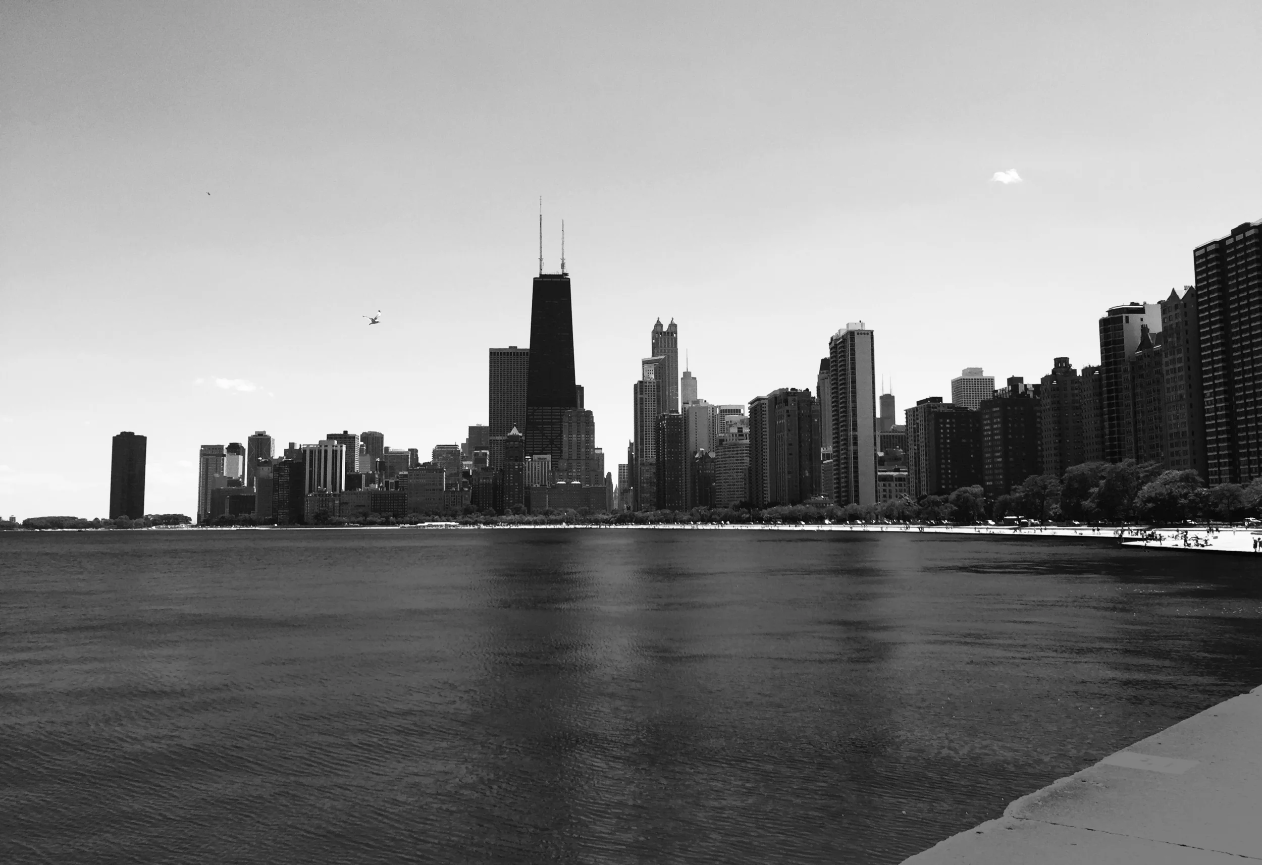 Factoryhaus2016_ChicagoBW.jpg