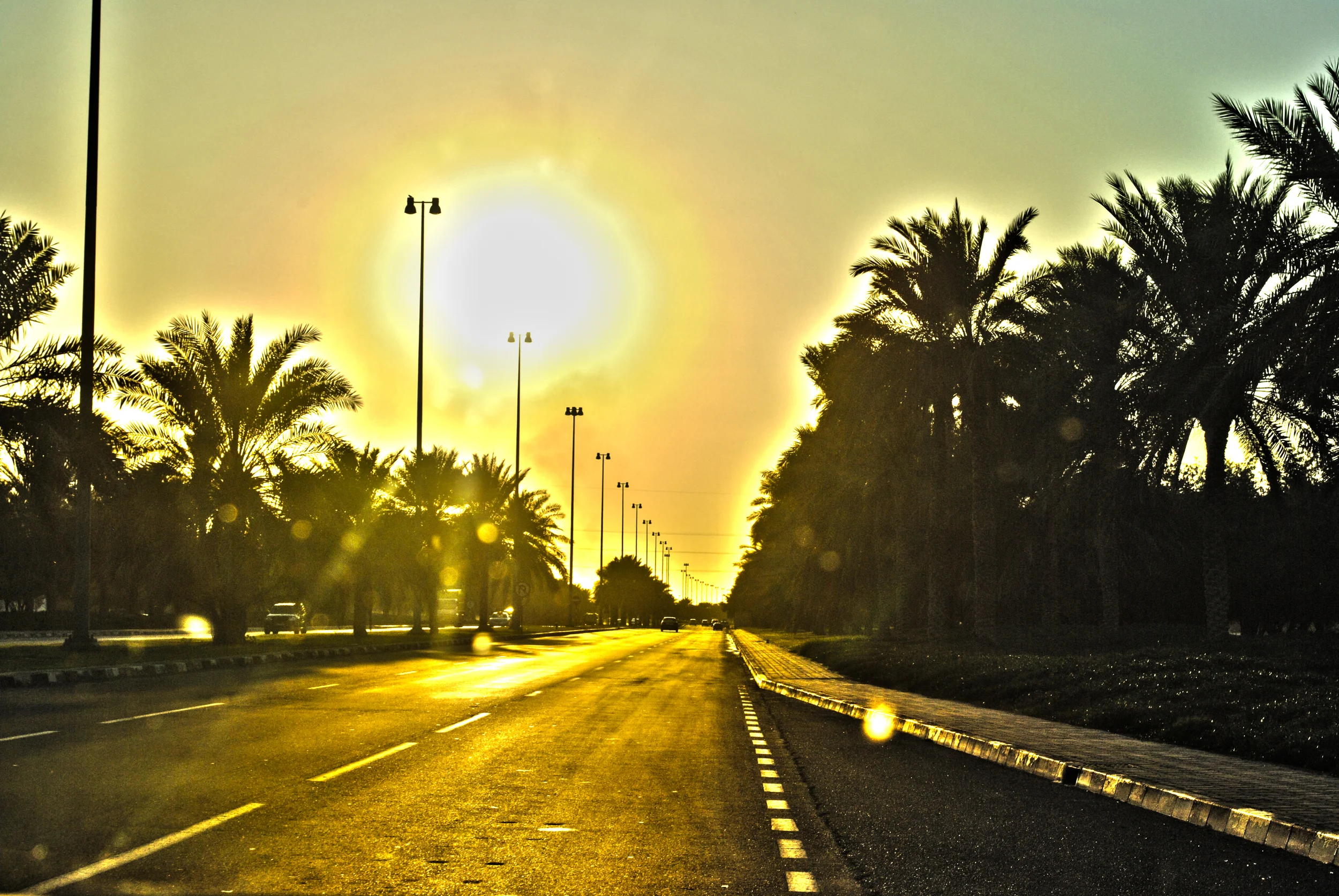 abu dahbi 1.jpg