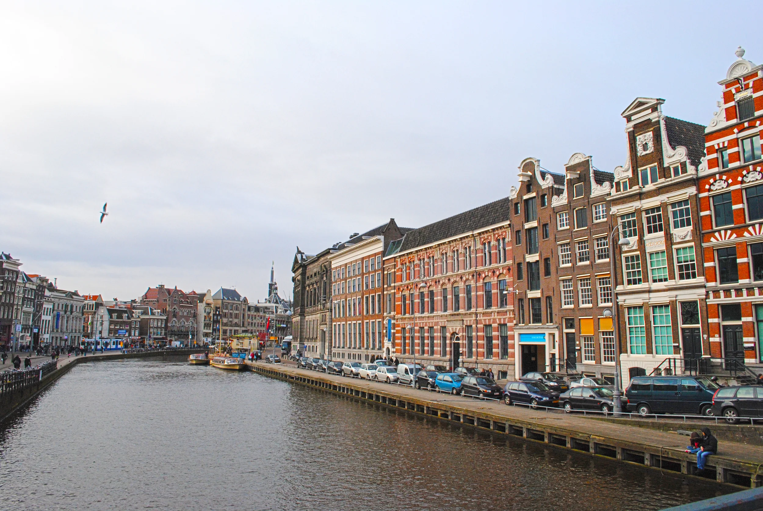 DSC_0313.jpg