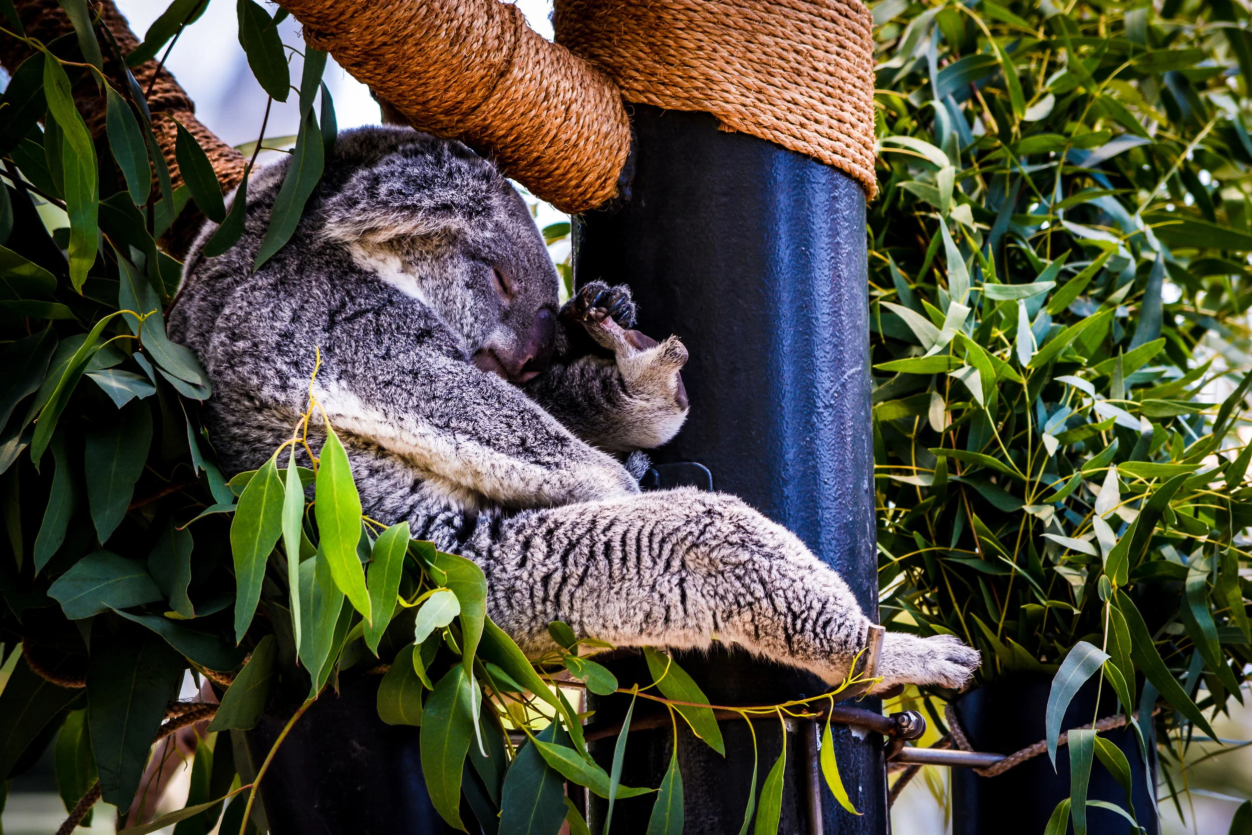 DSC_1812.jpg