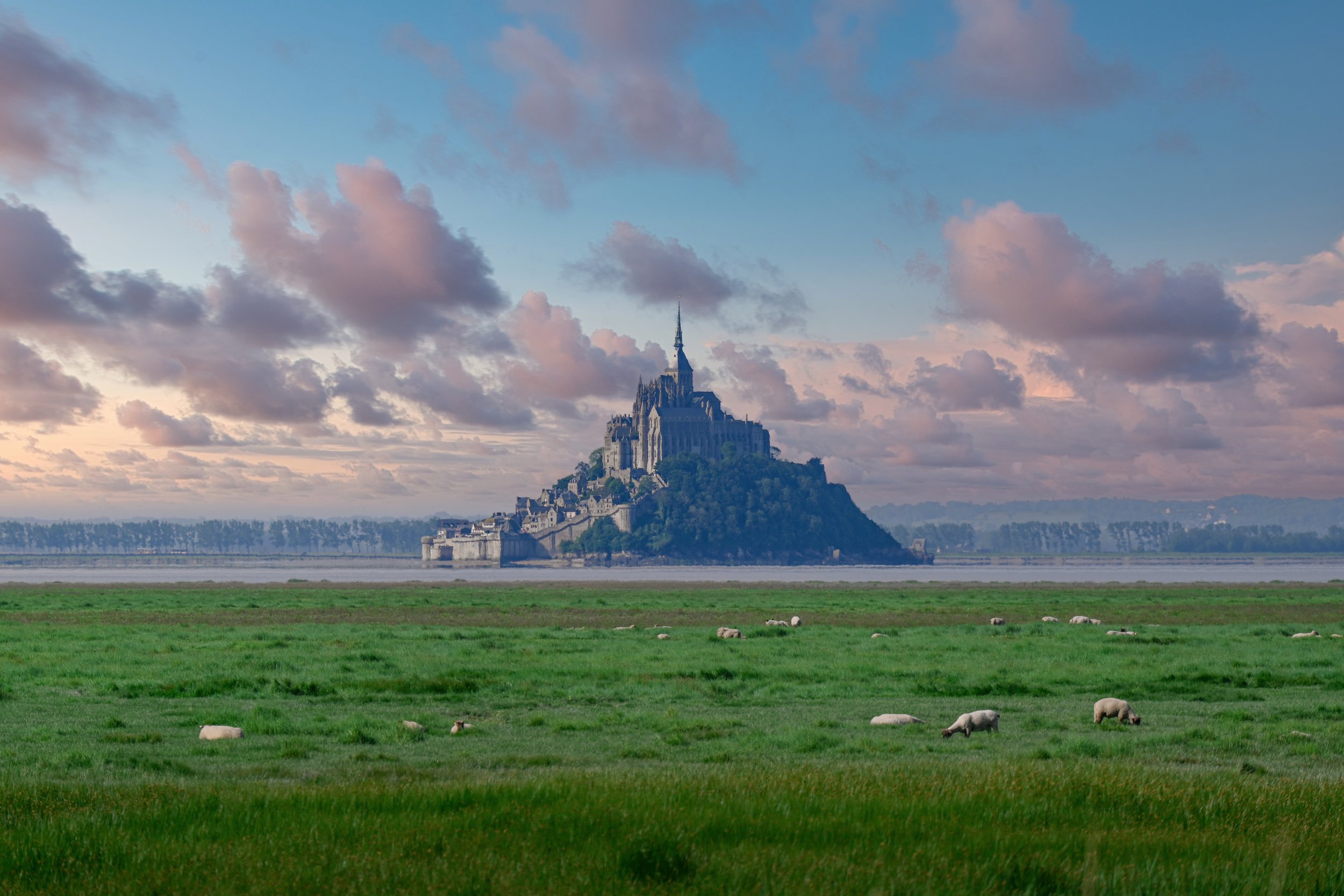 DSC_8507 (1).jpg