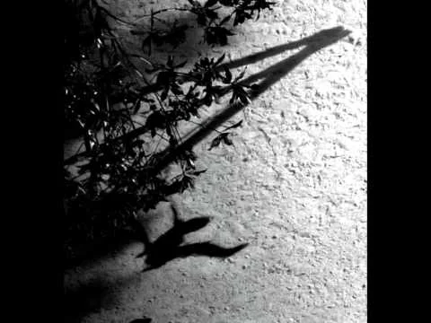 On the Nature of Daylight - Max Richter