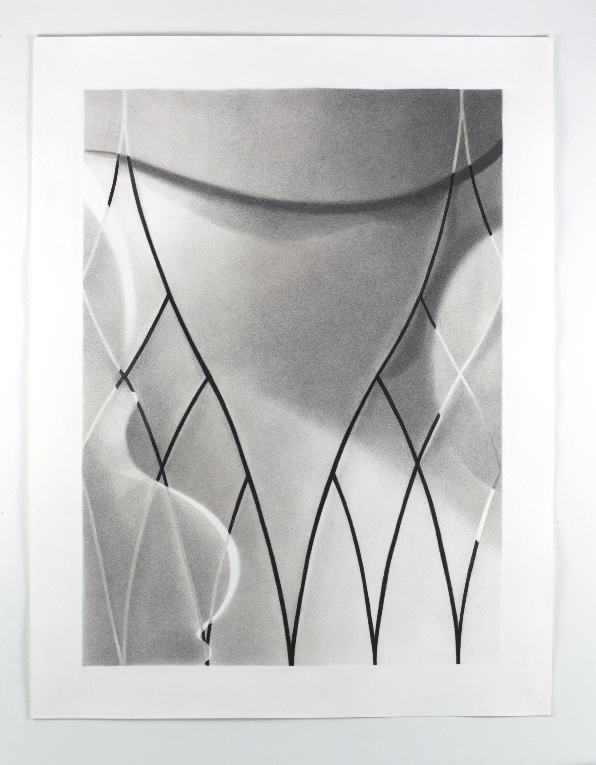 Habit(s) (three), 2018 graphite and India ink on paper 26” x 21”